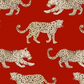 Leopard Parade red