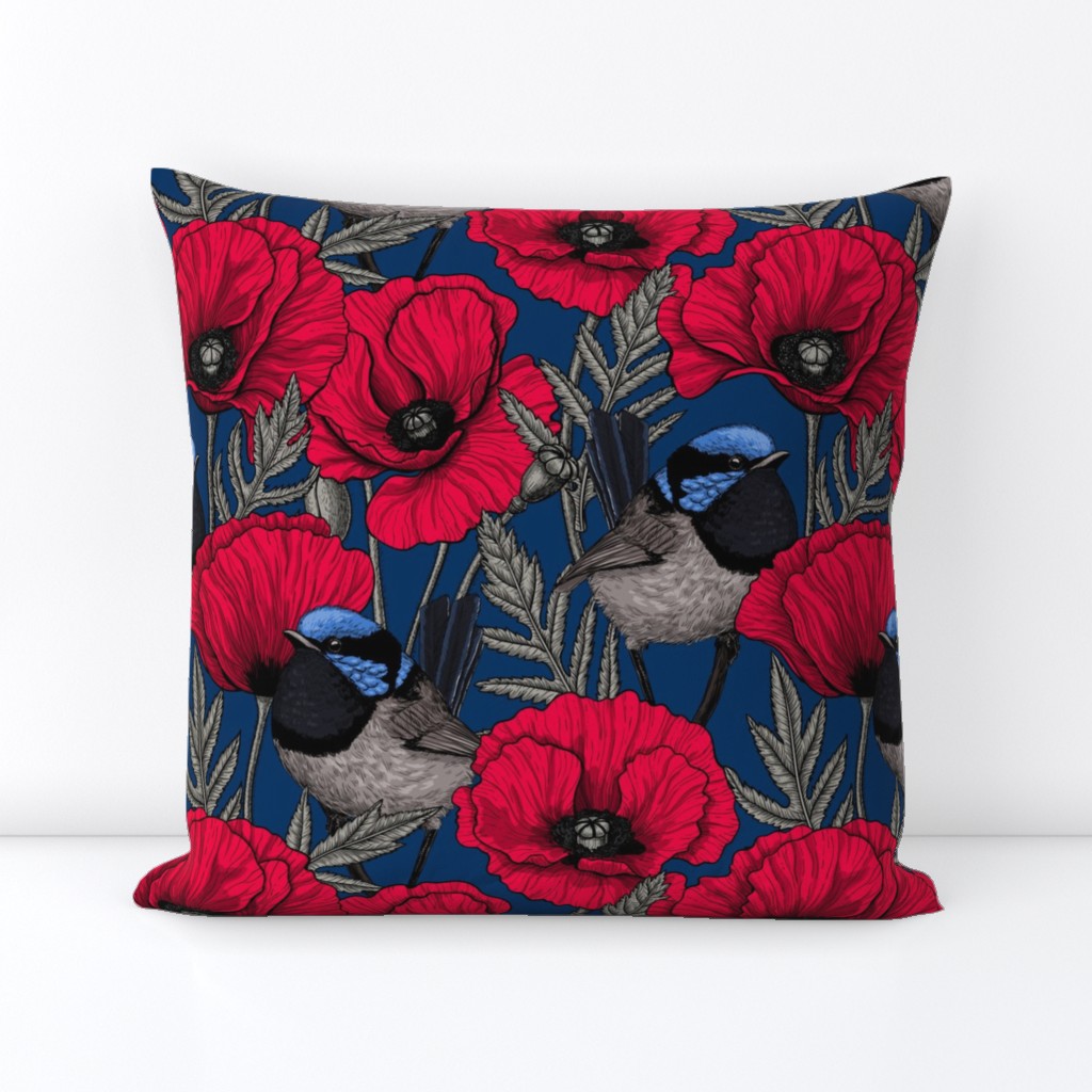 Fairy wren and poppies