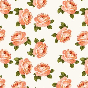 Pretty peonies in coral (medium)