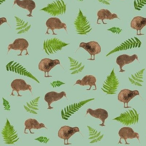 kiwis and ferns