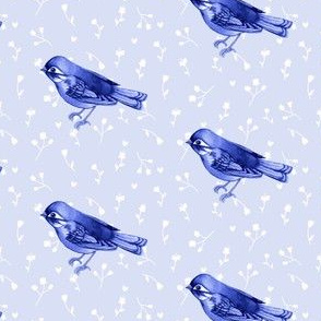 Indigo Song Bird 01