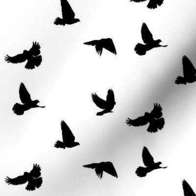 Doves in Flight, Black on White