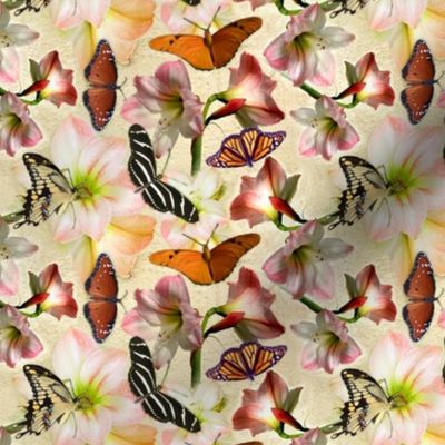 Custom Amaryllis and Butterflies