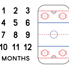 (42" width) Ice Hockey Rink - Baby Watch Me Grow Panel -  white LAD19
