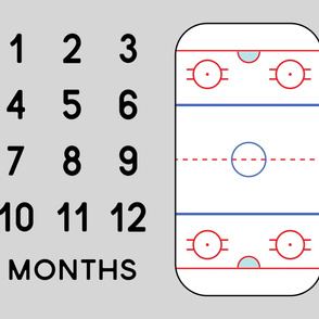 (42" width) Ice Hockey Rink - Baby Watch Me Grow Panel -  grey LAD19
