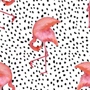 flamingo polka dot