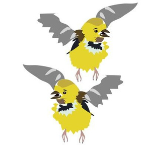 8x8 Baby male goldfinch