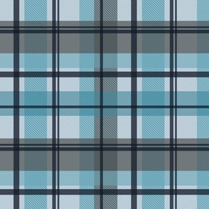 winter plaid - icy gingham