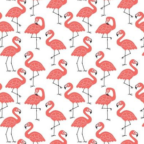 Let's Flamingo (Plain) --Mini