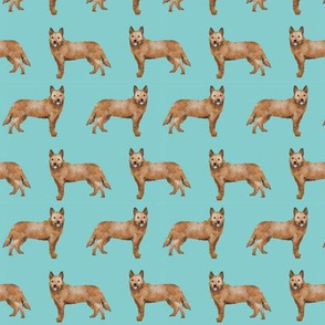 australian cattle dog fabric - dog fabric, red heeler fabric, dogs fabric, cute fabric - blue