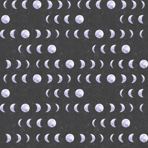 Moon Phases in Grey
