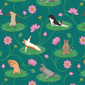 Yoga Cats on Lotus Flowers - Larger Version