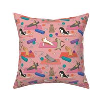 Cats Doing Yoga - Pink Small Version