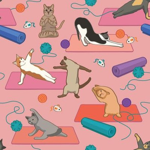 Cats Doing Yoga - Pink Small Version