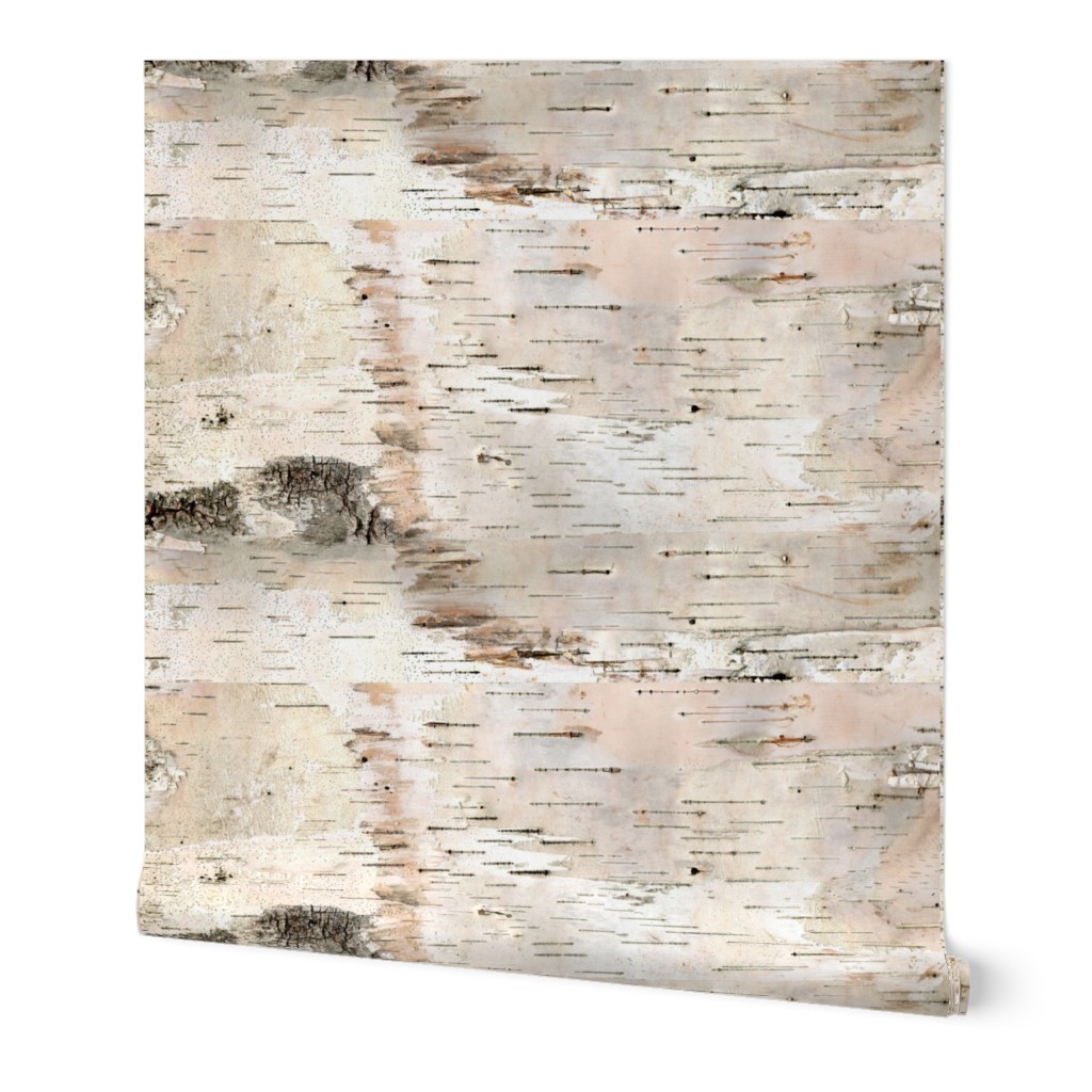 Creamy White Birch Bark