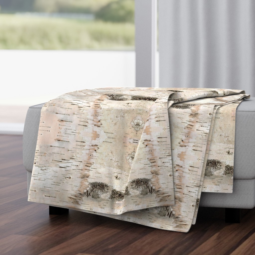 Creamy White Birch Bark