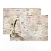 Creamy White Birch Bark