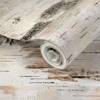 Creamy White Birch Bark