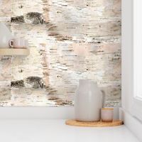 Creamy White Birch Bark