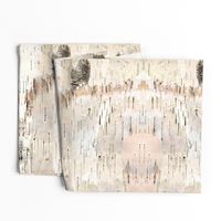 Creamy White Birch Bark