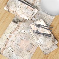 Creamy White Birch Bark