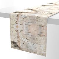 Creamy White Birch Bark