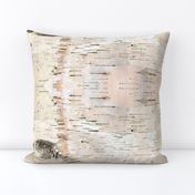 Creamy White Birch Bark