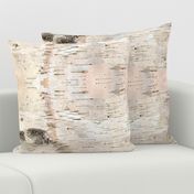 Creamy White Birch Bark