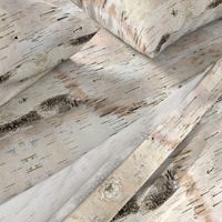 Creamy White Birch Bark