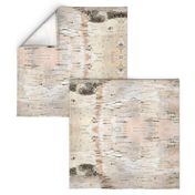 Creamy White Birch Bark