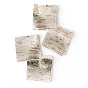 Creamy White Birch Bark