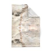 Creamy White Birch Bark