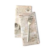 Creamy White Birch Bark