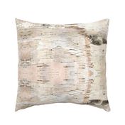 Creamy White Birch Bark