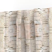 Creamy White Birch Bark