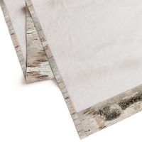 Creamy White Birch Bark