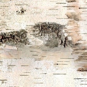 Birch Bark Wallpaper 33 images
