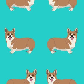 Happy Corgi Dogs on Bright Teal Green Blue