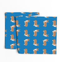 Smiling Corgi Dogs on Dark Blue