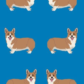 Smiling Corgi Dogs on Dark Blue