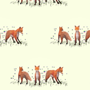 Playing Foxes, L
