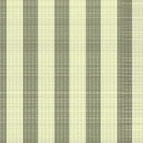 stripe-eco-olive green