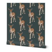 Flossie the fawn in midnight blue (small)