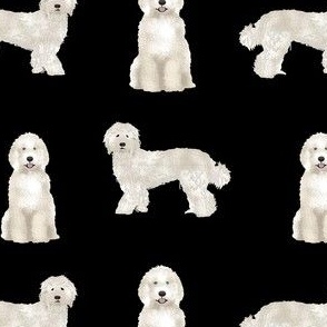 labradoodle fabric - dog fabric, dog breeds fabric, doodle dog fabric - black