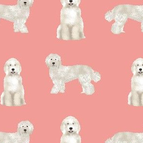 labradoodle fabric - dog fabric, dog breeds fabric, doodle dog fabric - salmon