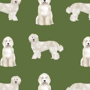 labradoodle fabric - dog fabric, dog breeds fabric, doodle dog fabric -green