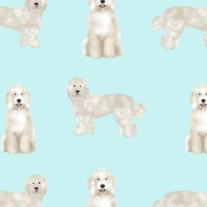 labradoodle fabric - dog fabric, dog breeds fabric, doodle dog fabric - aqua