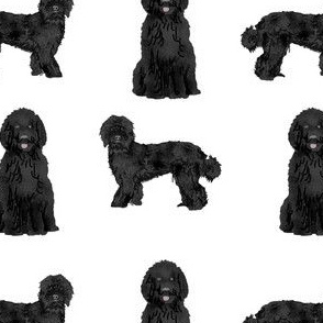 black labradoodle fabric - dog fabric, dog breeds fabric, doodle dog fabric - white