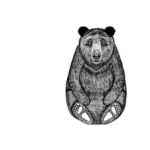 Panel Bear