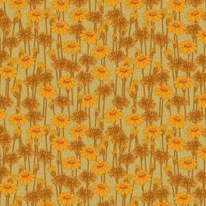 bachelor_buttons_and_daisies_goldenglow